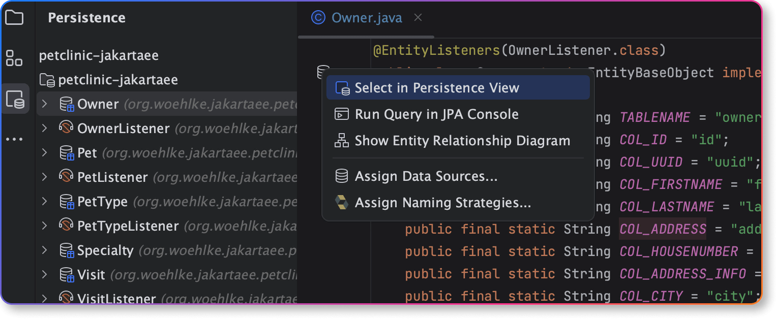 IntelliJ IDEA Persistence tool window Jakarta EE