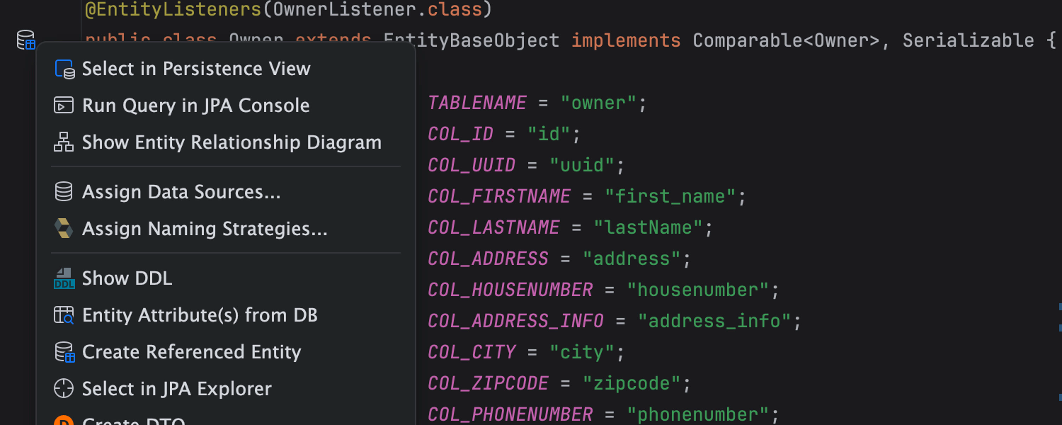 Persistence frameworks support for databases