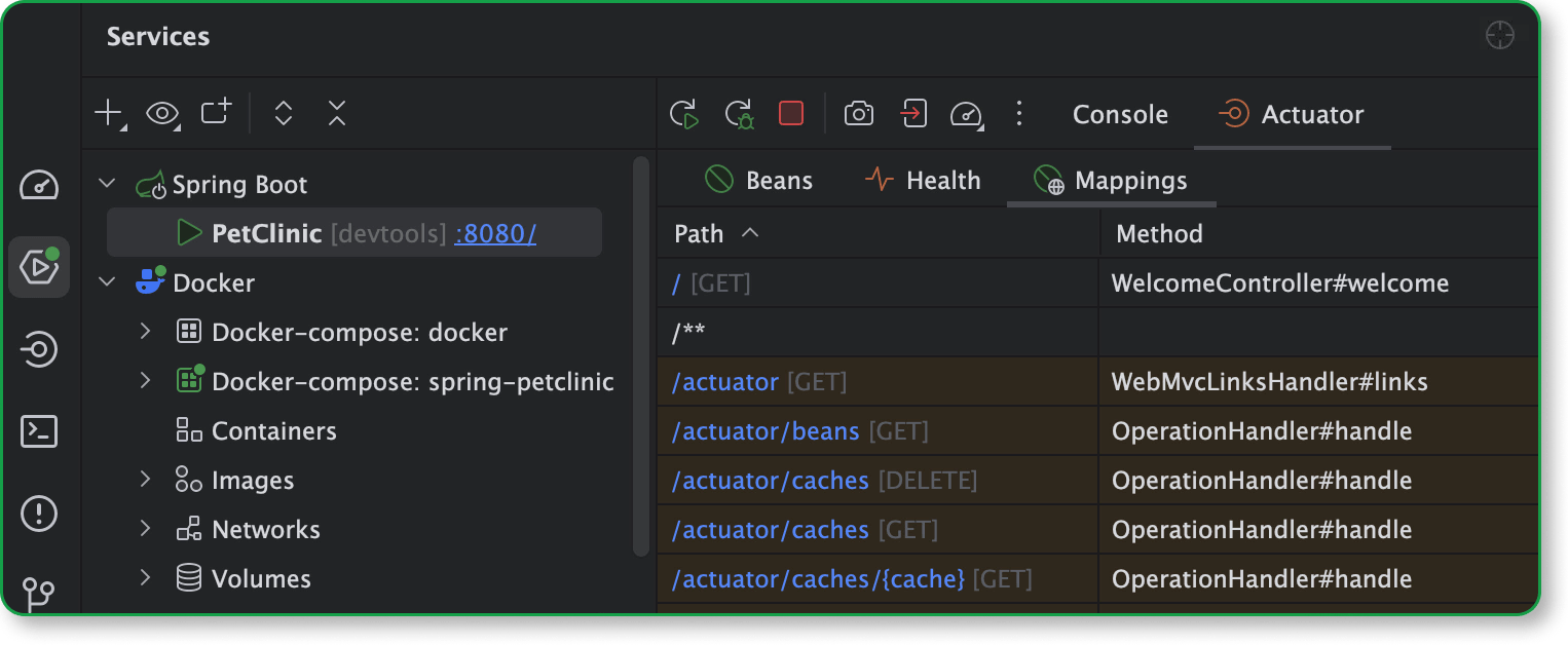 Actuator tab to monitor Spring Boot application state in IntelliJ IDEA